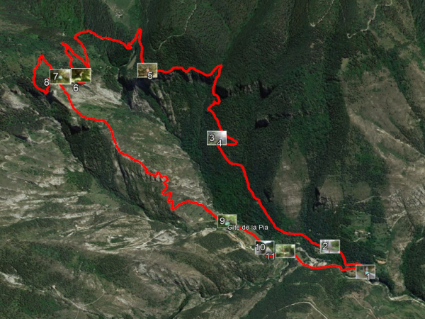 area 3Dmap Mappa Isola